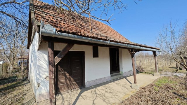 Eladó családi ház, Albertirsán 10 M Ft, 1 szobás