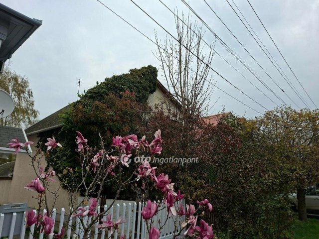 Eladó családi ház, Hajdúszoboszlón 105 M Ft, 5+1 szobás