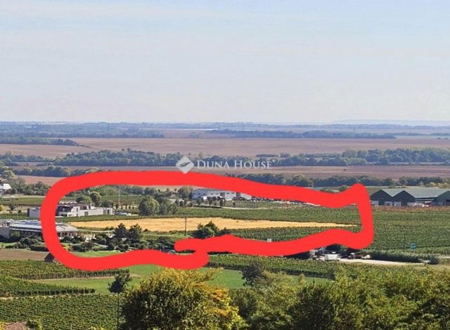 Eladó telek, Villányban 39.99 M Ft / költözzbe.hu