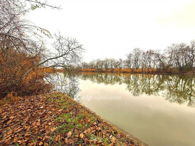 Eladó telek, Békésszentandráson 17.5 M Ft / költözzbe.hu