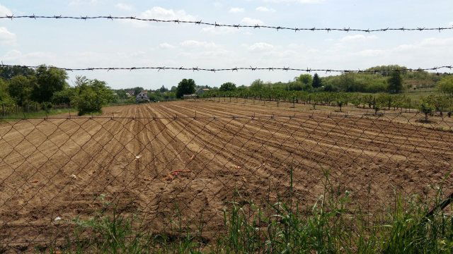 Eladó telek, Nyíregyházán 5.5 M Ft / költözzbe.hu