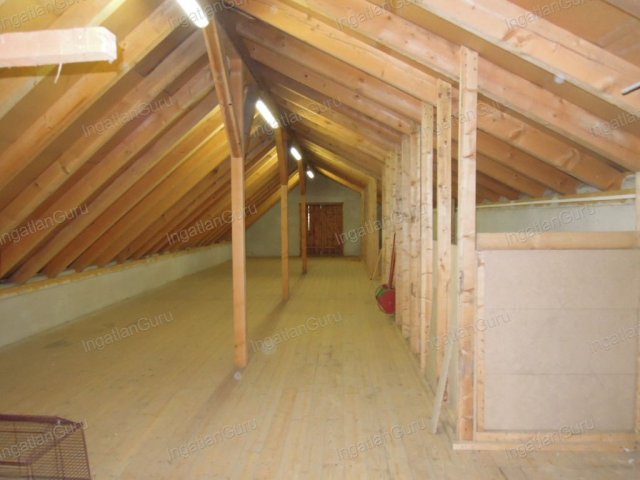 Eladó mezogazdasagi ingatlan, Lajosmizsén 307.5 M Ft