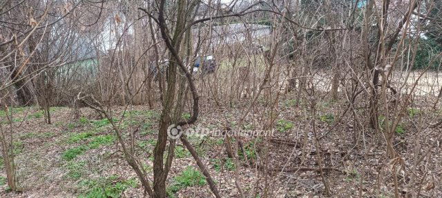 Eladó telek, Szigethalmon 53.5 M Ft / költözzbe.hu