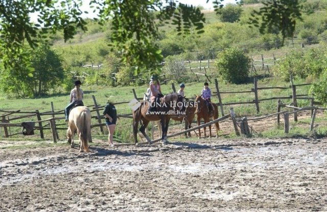 Eladó mezogazdasagi ingatlan, Zsámbékon 248 M Ft, 5 szobás