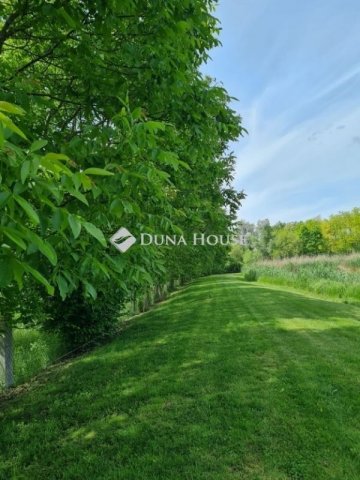 Eladó telek, Bólyban 99 M Ft / költözzbe.hu