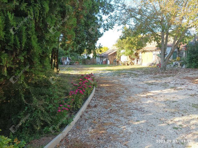 Eladó családi ház, Pacsán 39.9 M Ft, 3 szobás