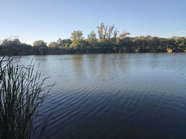 Eladó mezogazdasagi ingatlan, Öcsödön 7 M Ft