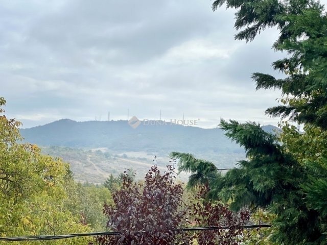 Eladó családi ház, Budapesten, II. kerületben 298 M Ft, 8 szobás