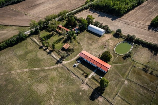 Eladó mezogazdasagi ingatlan, Lajosmizsén 307.5 M Ft