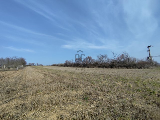 Eladó telek, Magyaralmáson 6.5 M Ft / költözzbe.hu