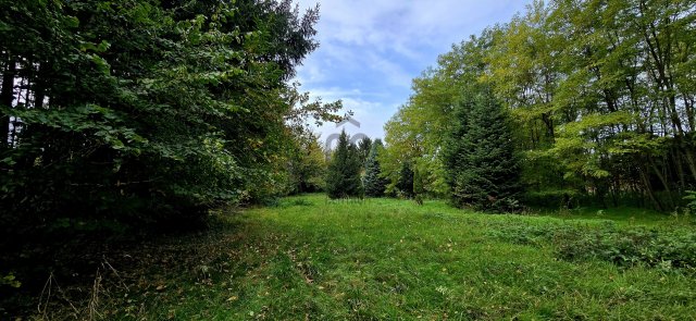 Eladó telek, Felsőmarácon 11.5 M Ft / költözzbe.hu