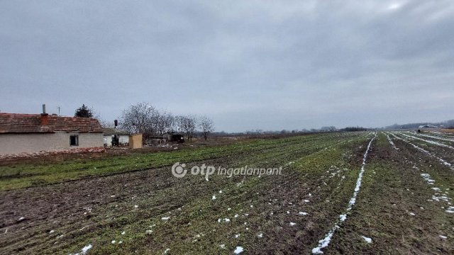 Eladó telek, Tiszakécskén 2.3 M Ft / költözzbe.hu