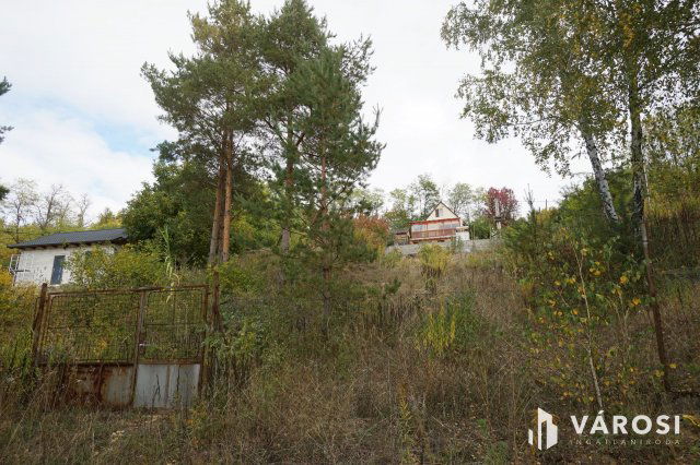 Eladó mezogazdasagi ingatlan, Domonyban 15.8 M Ft