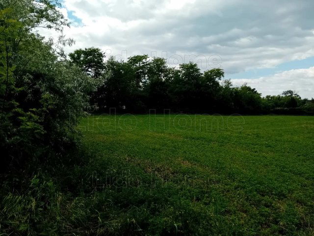Eladó telek, Zamárdiban 35 M Ft / költözzbe.hu