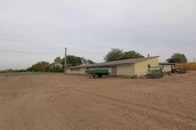 Eladó mezogazdasagi ingatlan, Üllésen 11 M Ft