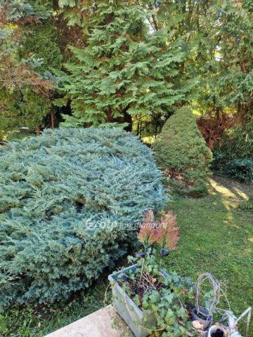 Eladó családi ház, Budapesten, II. kerületben 169 M Ft, 3 szobás