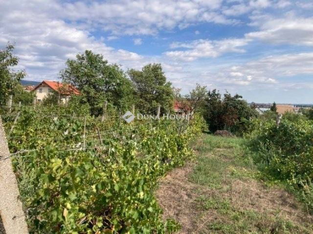 Eladó családi ház, Pécsett 16.999 M Ft, 1 szobás