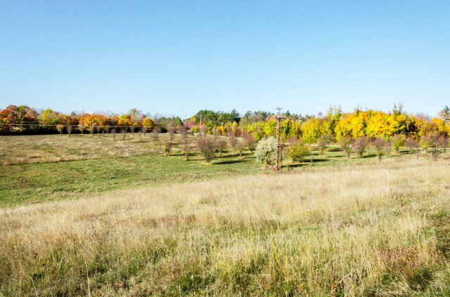 Eladó ipari ingatlan, Szentkirályszabadján 210 M Ft