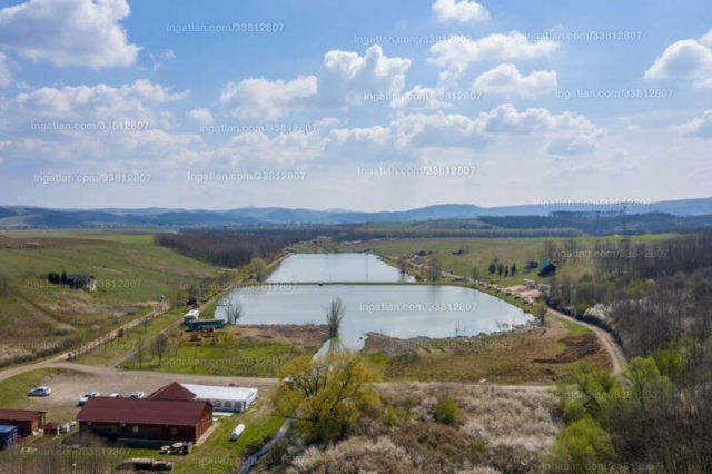 Eladó mezogazdasagi ingatlan, Tereskén 445 M Ft, 11 szobás