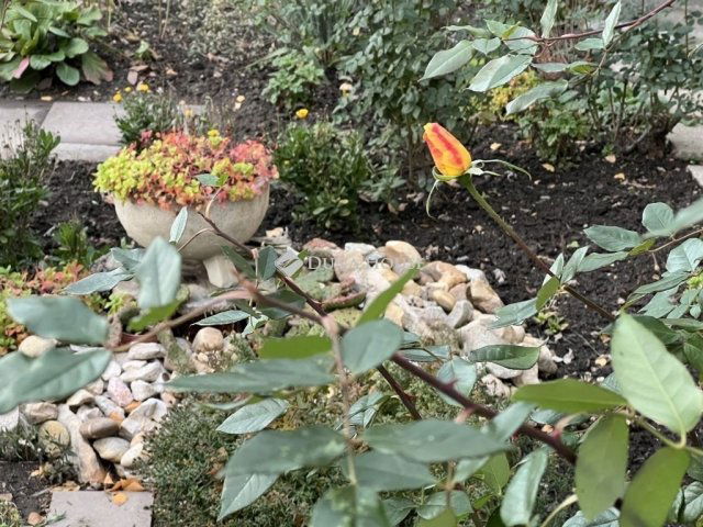 Eladó panellakás, Algyőn 47.5 M Ft, 1+1 szobás