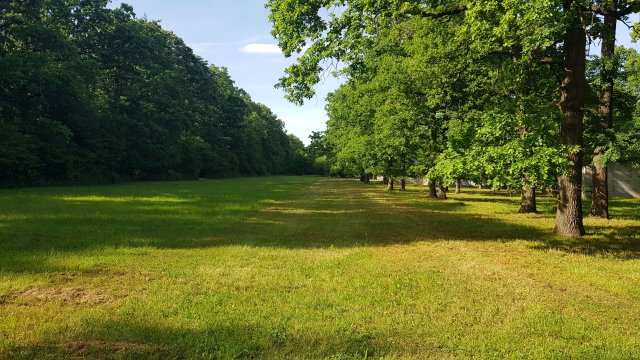 Eladó családi ház, Zalaegerszegen 318 M Ft, 1+1 szobás