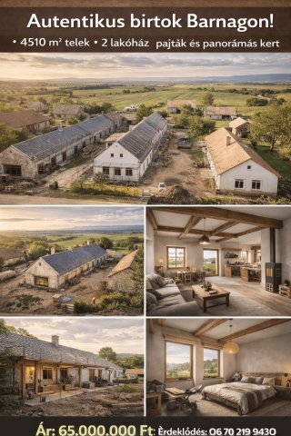 Eladó családi ház, Barnagon 65 M Ft, 7 szobás