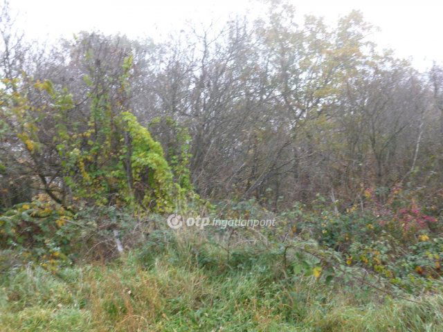 Eladó telek, Zalahalápon 9.9 M Ft / költözzbe.hu