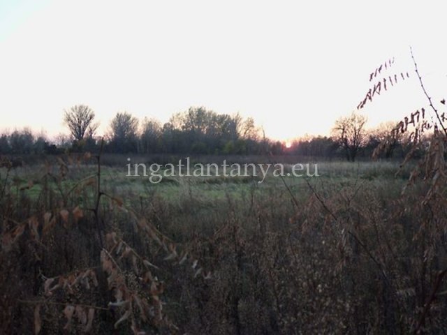 Eladó telek, Budapesten, XXIII. kerületben 31 M Ft