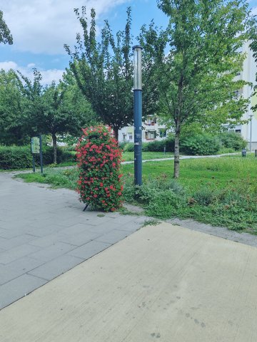 Kiadó panellakás, albérlet, III. kerületben, Madzsar József utcában