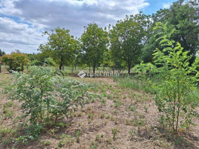 Eladó mezogazdasagi ingatlan, Kecskeméten 6.5 M Ft, 1 szobás