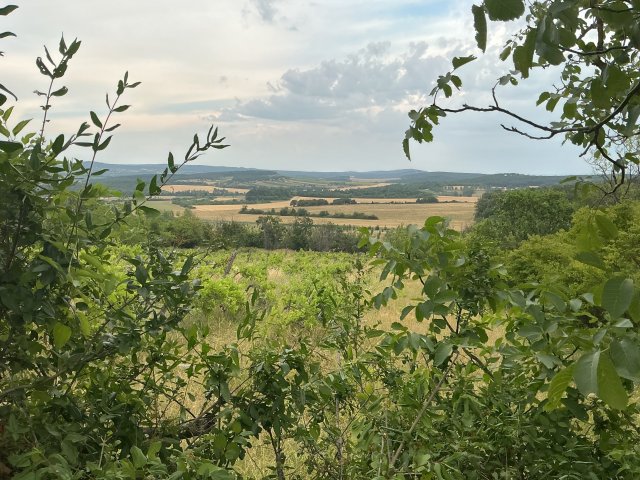 Eladó mezogazdasagi ingatlan, Vászolyon 28 M Ft
