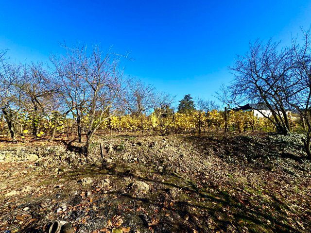 Eladó családi ház, Tarcalon 25 M Ft, 3 szobás