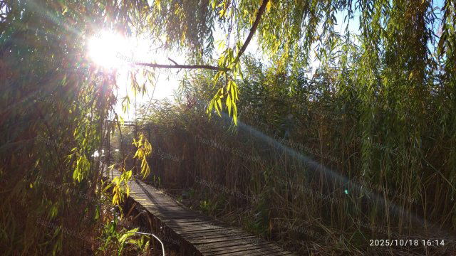 Eladó nyaraló, Cibakházán 28.9 M Ft, 2 szobás