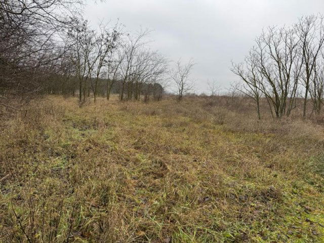 Eladó telek, Fóton 118 M Ft / költözzbe.hu