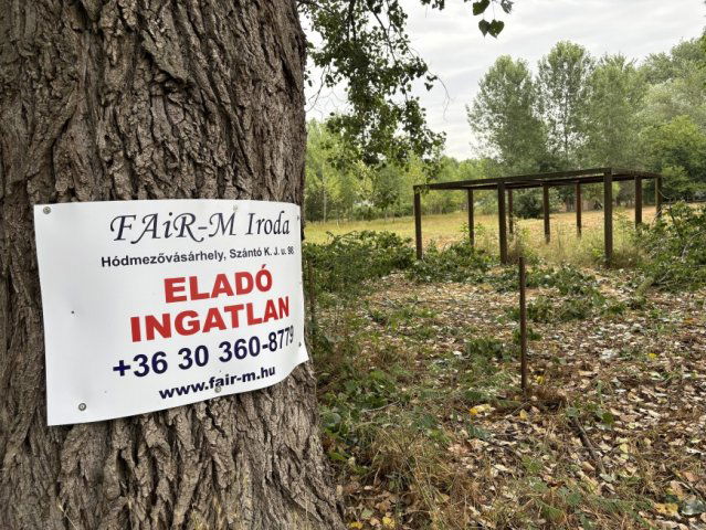 Eladó telek, Mindszenten 2.9 M Ft / költözzbe.hu