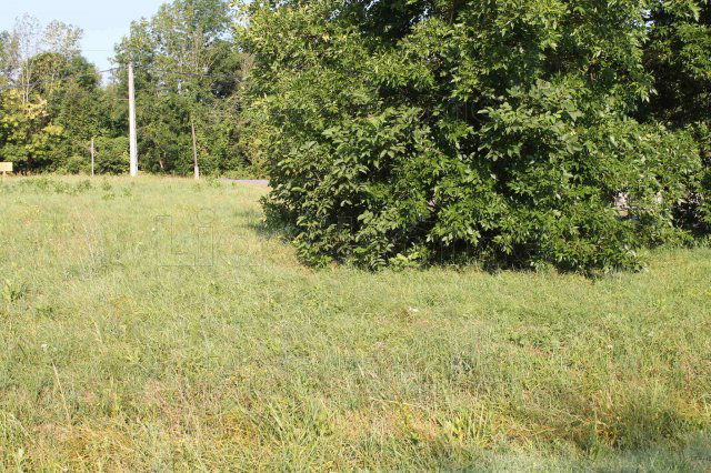 Eladó telek, Zalacsányon 19.999 M Ft / költözzbe.hu