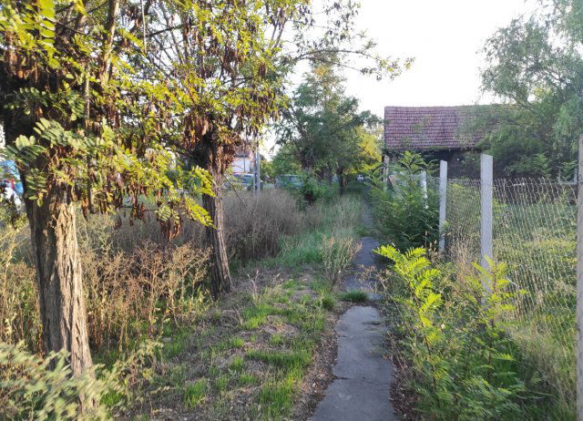 Eladó telek, Szarvason, Martinovics utcában 1.7 M Ft