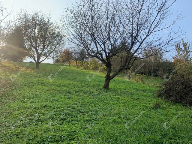 Eladó telek, Zalaegerszegen 6 M Ft / költözzbe.hu