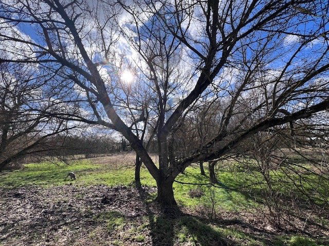 Eladó telek, Fóton 32 M Ft / költözzbe.hu