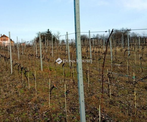 Eladó telek, Pázmándon 27.3 M Ft / költözzbe.hu