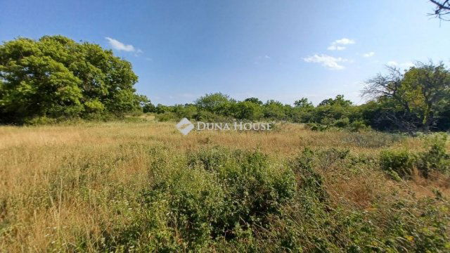 Eladó mezogazdasagi ingatlan, Balatonudvariban 7.9 M Ft