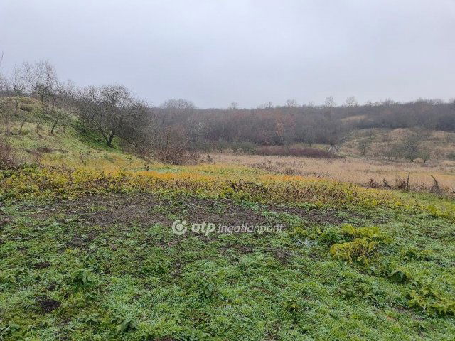 Eladó telek, Demjénben 4.5 M Ft / költözzbe.hu