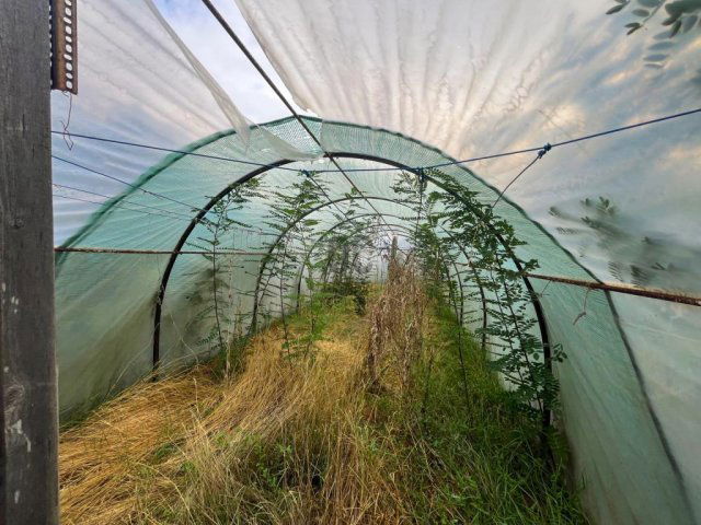 Eladó családi ház, Szigethalmon 69.9 M Ft, 3 szobás