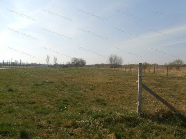 Eladó mezogazdasagi ingatlan, Balatonbogláron 21.5 M Ft