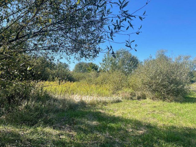 Eladó telek, Nyíregyházán 13 M Ft / költözzbe.hu