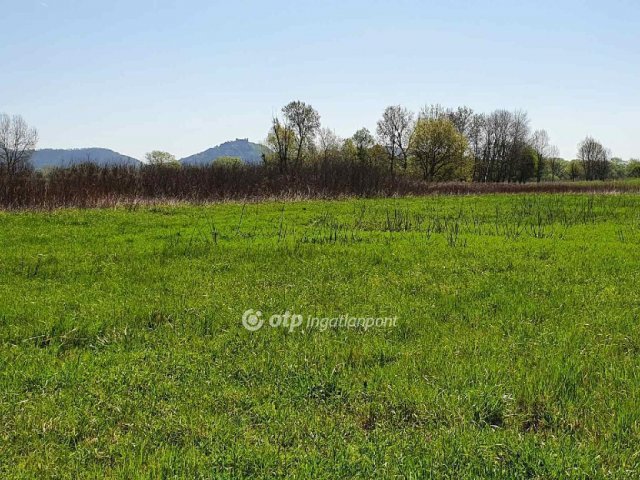 Eladó mezogazdasagi ingatlan, Balatonedericsen 136.44 M Ft