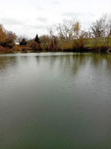 Eladó nyaraló, Gyomaendrődön 25.75 M Ft, 1 szobás