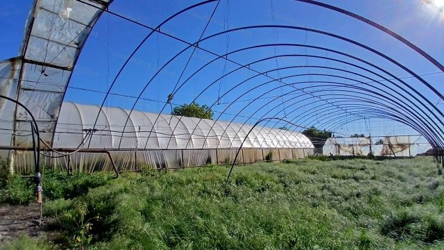 Eladó ipari ingatlan, Martfűn 24.9 M Ft / költözzbe.hu