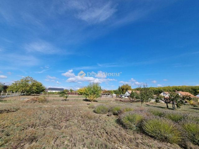 Eladó telek, Seregélyesen 12.5 M Ft / költözzbe.hu