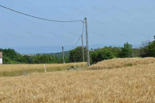 Eladó mezogazdasagi ingatlan, Balatonendréden 10 M Ft